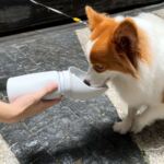 Spot dog outdoor water bottle portable large-capacity water Cup wholesale pet silicone foldable drinking water bottle